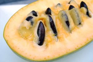 PawPaw Fruit