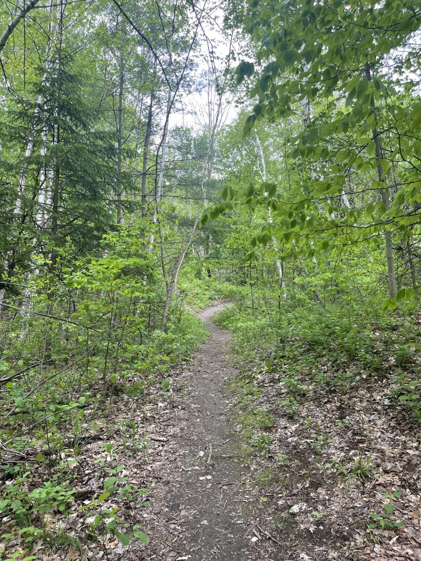 Vermont